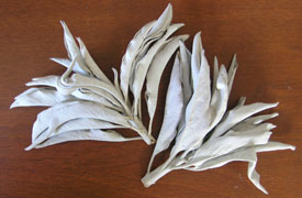 SACRED HERBS / WHITE SAGE & BLACK SAGE BUNDLES